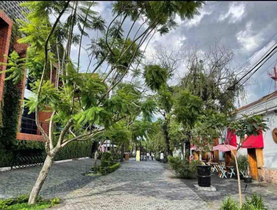 Makachi Hotel Guatemala City Luaran gambar